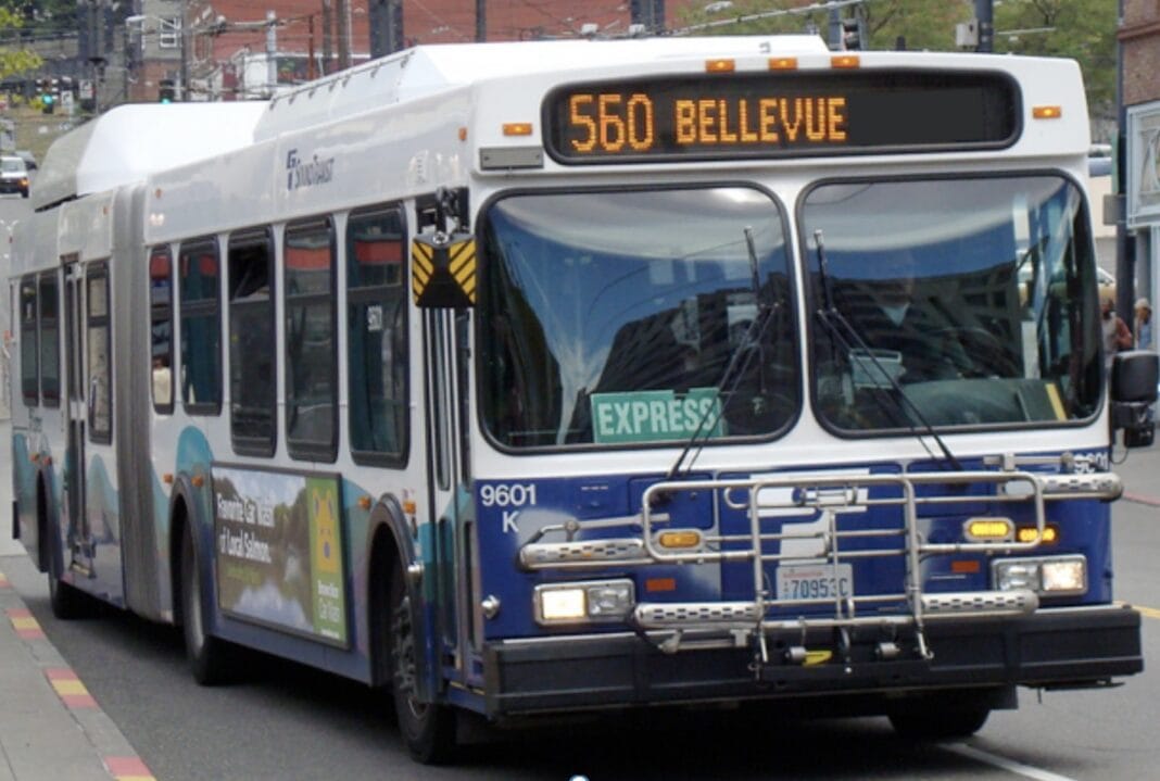 Bus